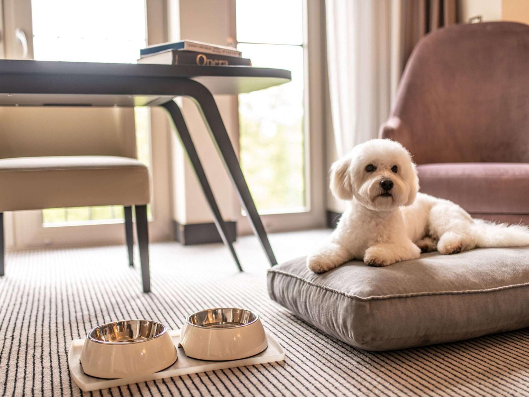 Sofitel Frankfurt Opera Hotel Франкфурт на Майн Екстериор снимка A dog at the Mandarin Oriental, Munich